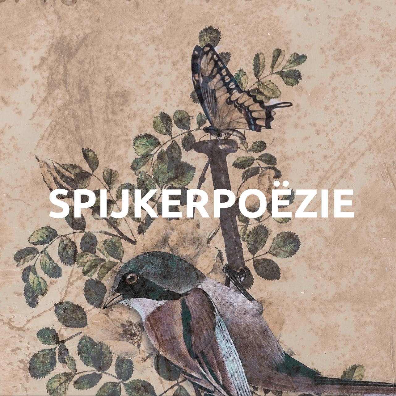 Spijkerpoëzie